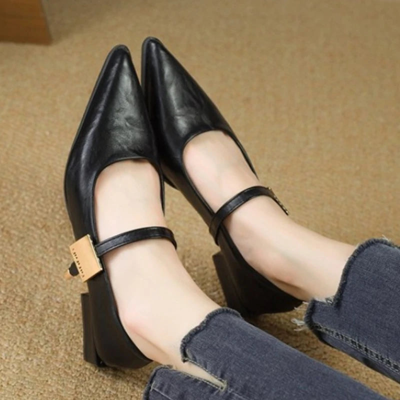 2025 Retro Style Thick Heel Women Shoes Fashion Pointed Toe Ladies Shoes Comfort Footwear Women Elegant Single Shoes