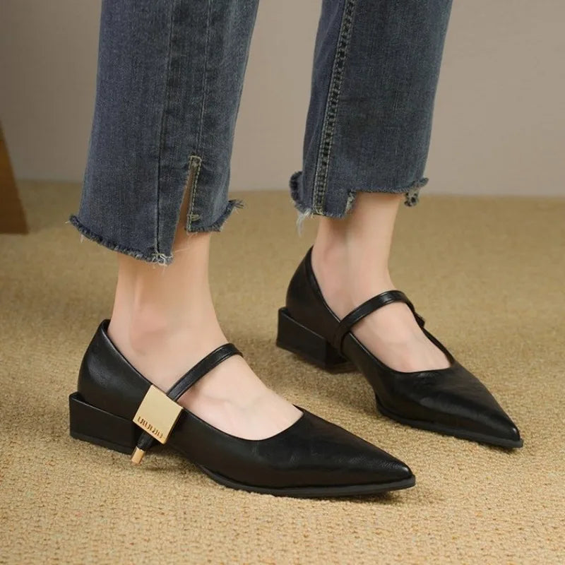2025 Retro Style Thick Heel Women Shoes Fashion Pointed Toe Ladies Shoes Comfort Footwear Women Elegant Single Shoes