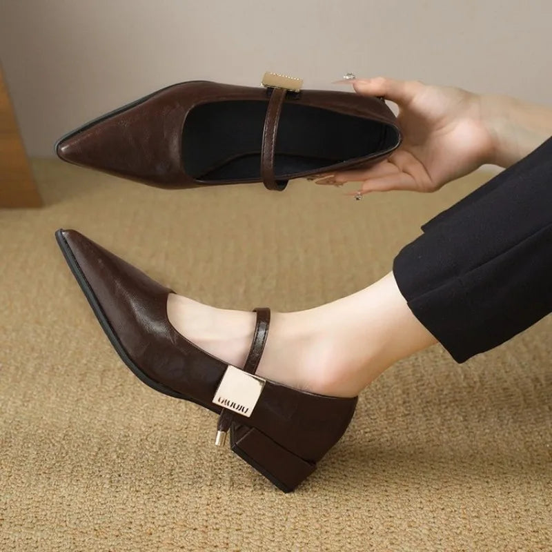 2025 Retro Style Thick Heel Women Shoes Fashion Pointed Toe Ladies Shoes Comfort Footwear Women Elegant Single Shoes