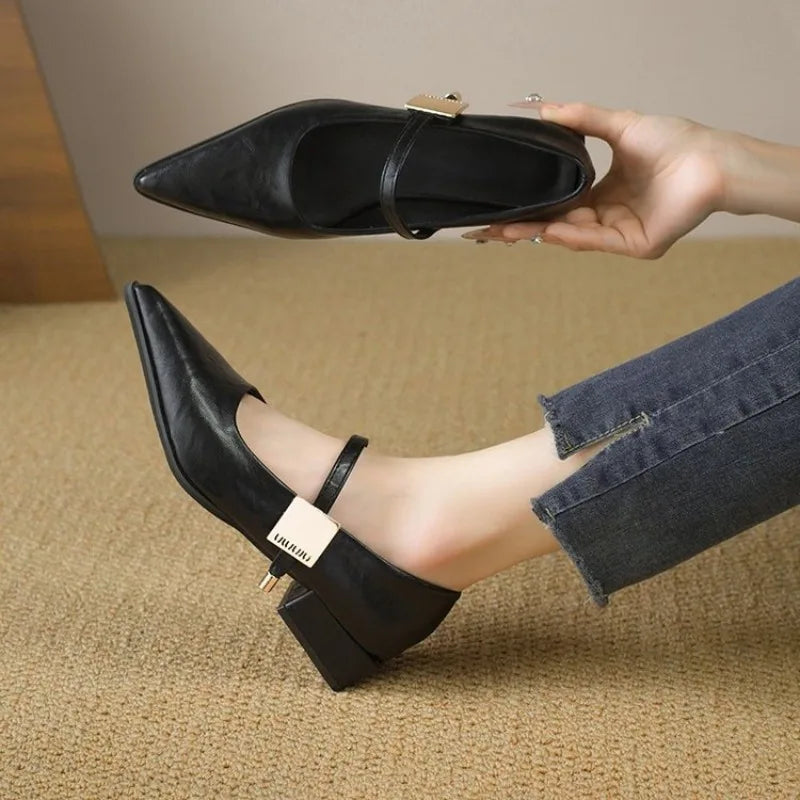 2025 Retro Style Thick Heel Women Shoes Fashion Pointed Toe Ladies Shoes Comfort Footwear Women Elegant Single Shoes